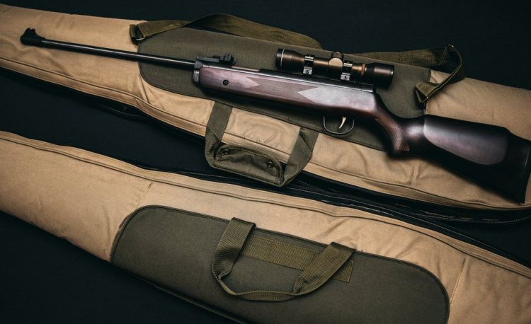 gun rifle